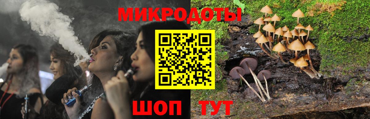 цена   Вход с VPN  Домодедово  Галлюциногенные грибы Psilocybe 